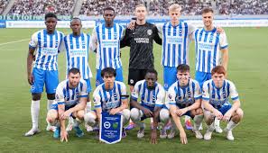 Brighton & Hove Albion FC team