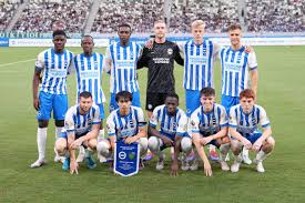 Brighton & Hove Albion squad