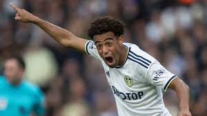 Tyler Adams Leeds United Midfielder