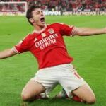 SL Benfica Midfielders 2024/25