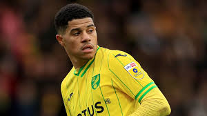 Gabriel Sara <a href=