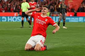 A. Silva - SL Benfica defender