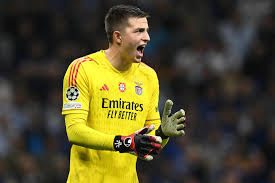 A. Trubin - Benfica goalkeeper