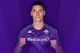 Melenkovic - Fiorentina defender