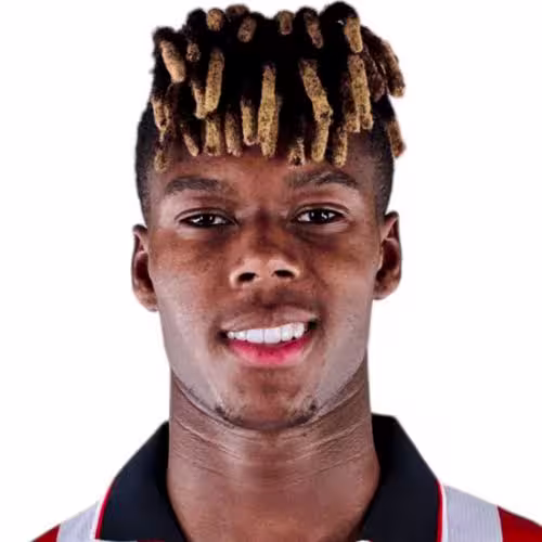 Nico Williams: Comprehensive Profile Review
