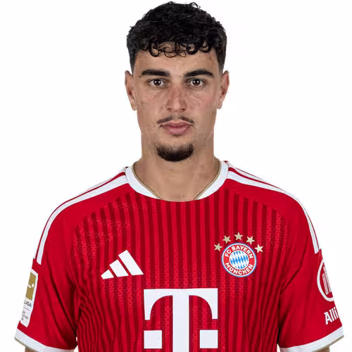 Aleksandar Pavlovic: Comprehensive Profile Review