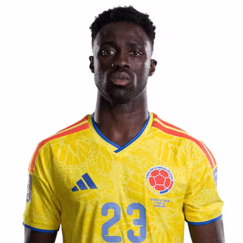 Davinson Sanchez: Comprehensive Profile Review