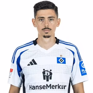 Read more about the article Dennis Hadzikadunic: Comprehensive Profile Review