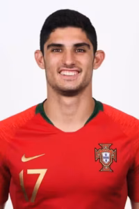 Read more about the article Goncalo Guedes: Comprehensive Profile Review