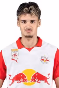 Read more about the article Kerim Alajbegovic: Comprehensive Profile Review