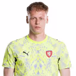 Read more about the article Lukas Hornicek: Comprehensive Profile Review