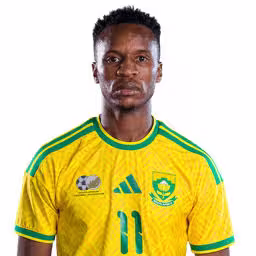 Read more about the article Themba Zwane: Comprehensive Profile Review